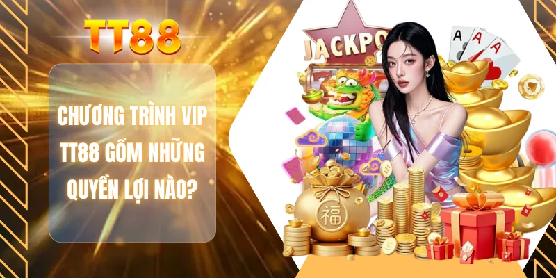Chương trình VIP TT88 gồm những quyền lợi nào?