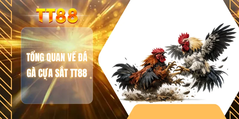 Tổng quan về đá gà cựa sắt TT88